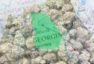 wholesale thca flower in georgia