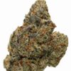 Tropical Runtz THCa Hemp Flower closeup