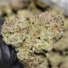 Tropical Runtz THCa Hemp Flower closeup