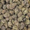 Gelato 45 High THCa Hemp Flower pound