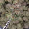 Zeth THCa Hemp Flower Pounds