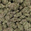 Oreoz High THCa Hemp Flower Pound