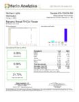 El Jay's THCa Hemp Flower - Banana Bread Exotic THCa Hemp Flower Strain - Image 4