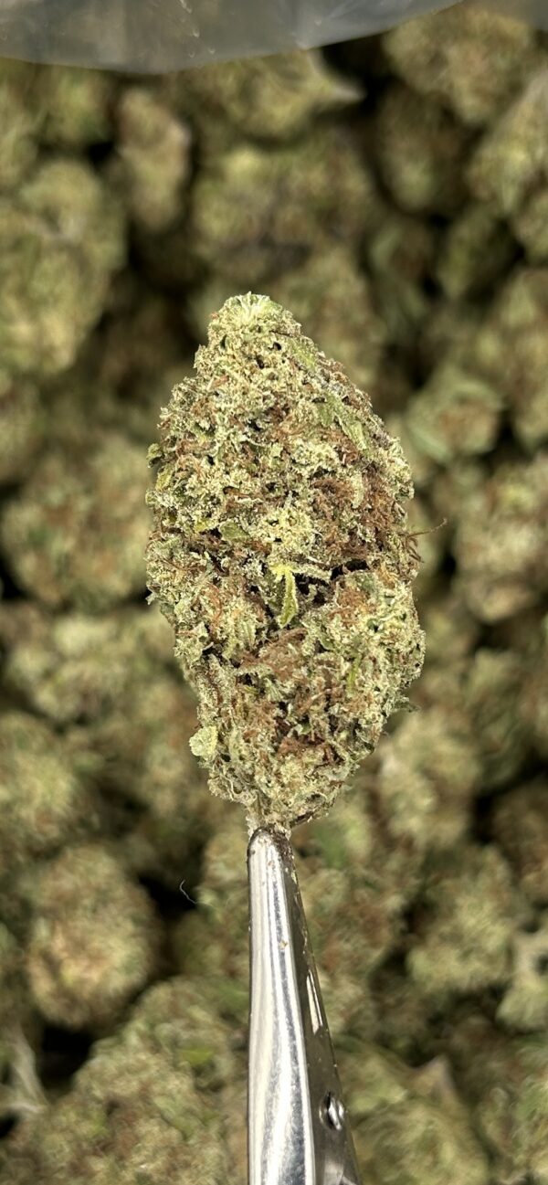 El Jay's THCa Hemp Flower - Orange Creamsicle Strain