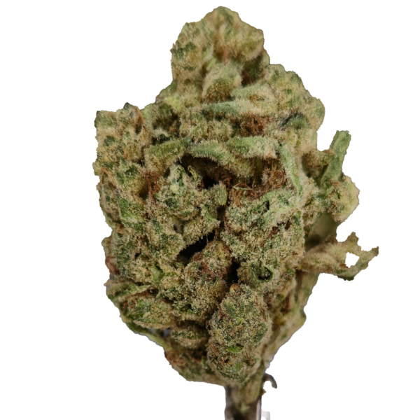 Super Sour Diesel Strain