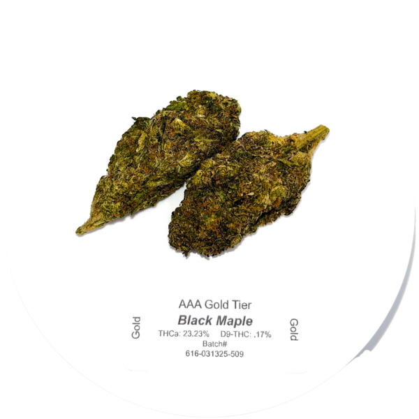 Black Maple Strain High THCa Hemp Flower 23.23 THCa