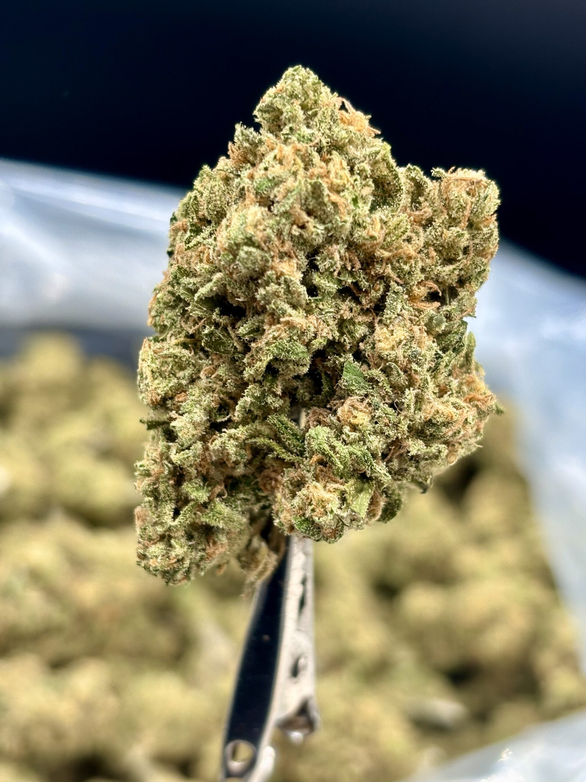 El Jay's THCa Hemp Flower – Alien OG Strain – Eighth (3.5g) — $24.99