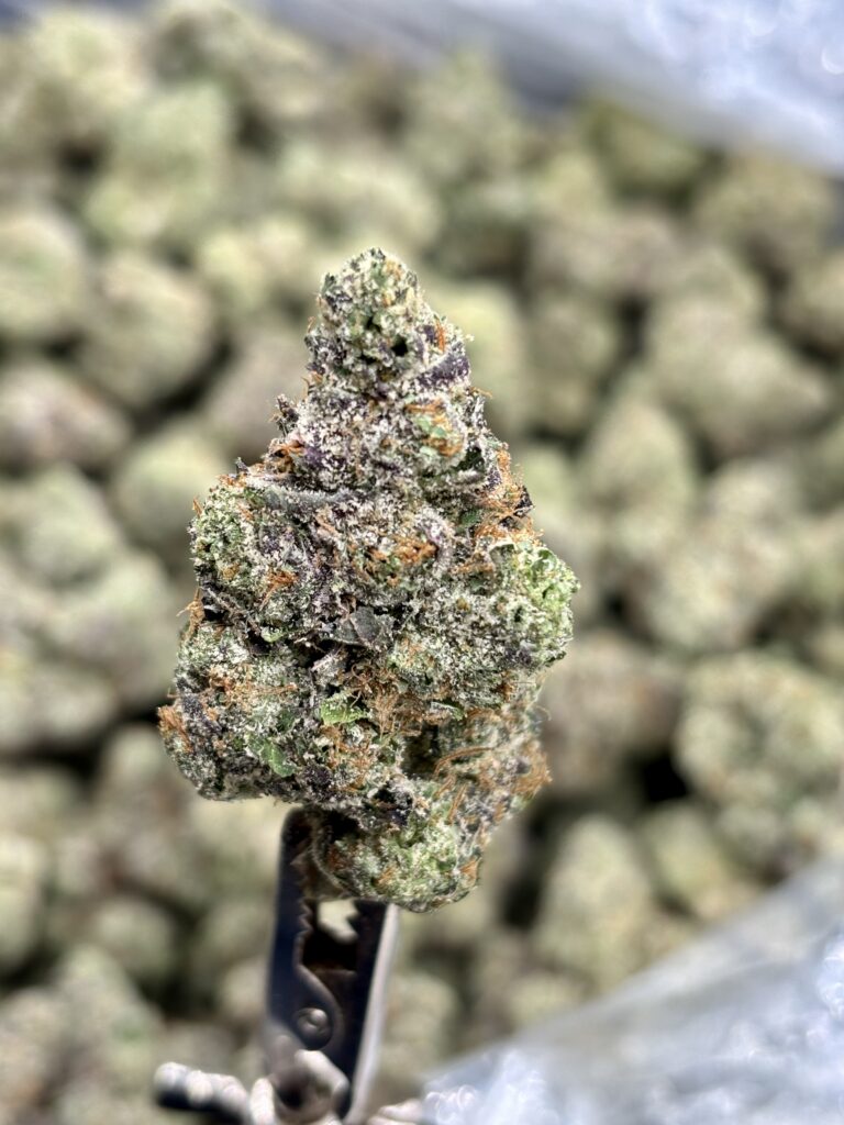 Cosmic Kush Strain High THCA nug