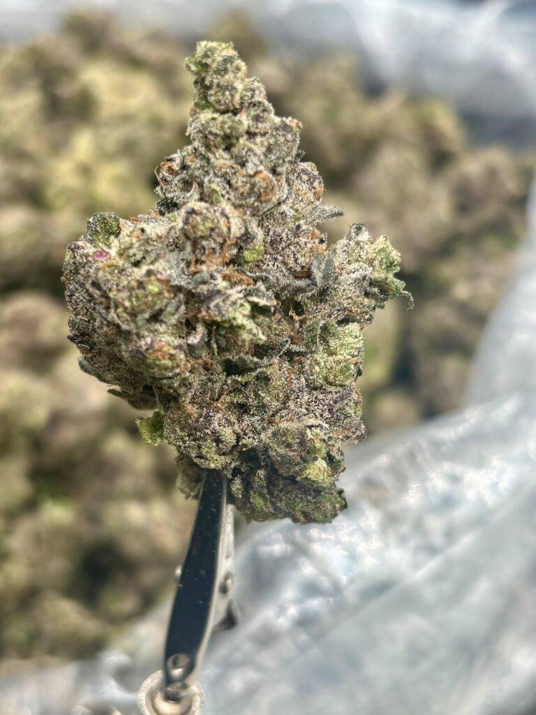 Mac Flurry High THCA Hemp Flower Strain Nug