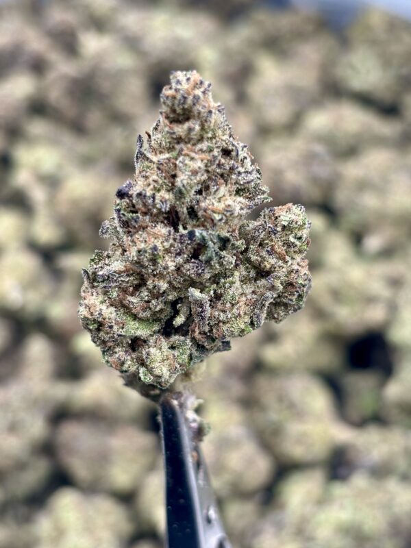 Cereal Milk high thca hemp flower strain nug