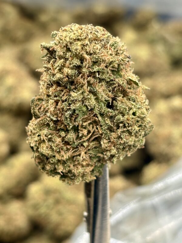 Citrus Bomb high thca hemp flower strain nug