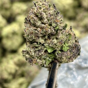 El Jay’s THCa Hemp Flower – GMO Cake Strain
