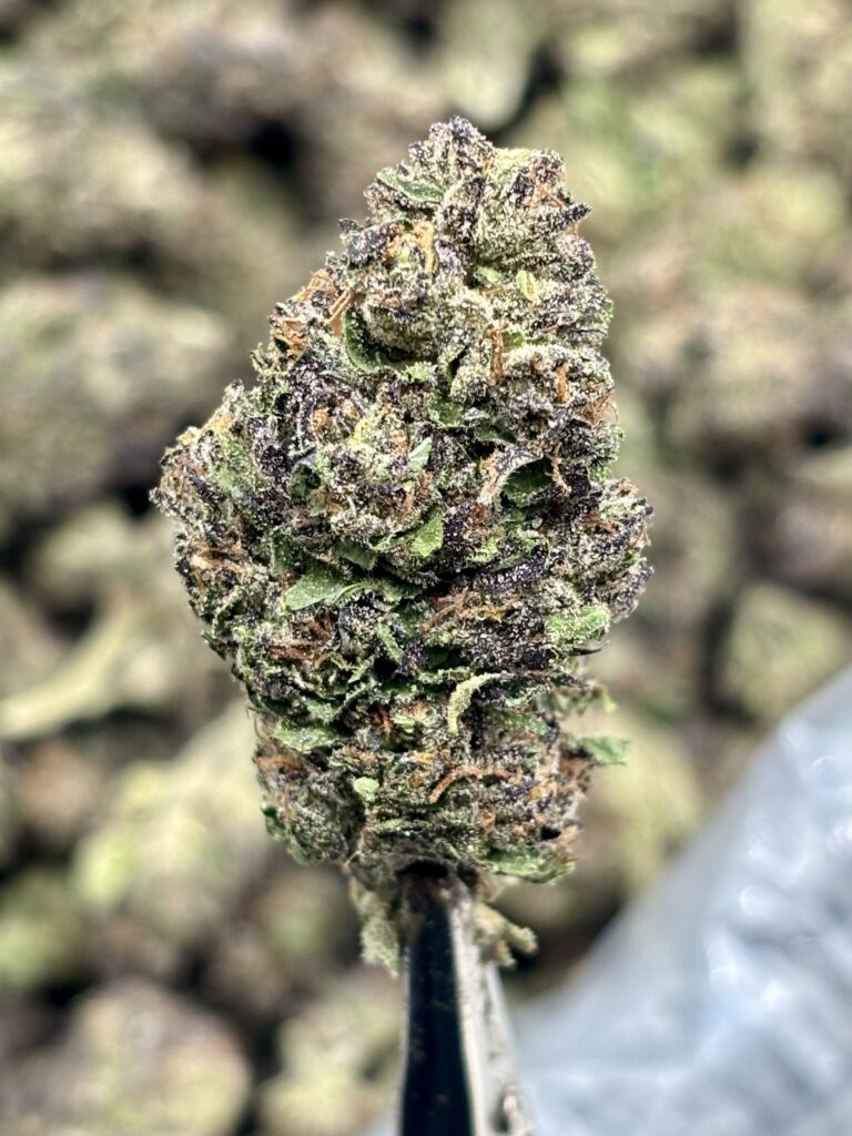 Under Dawg High THCA Hemp Flower Strain